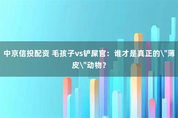 中京信投配资 毛孩子vs铲屎官：谁才是真正的＂薄皮＂动物？