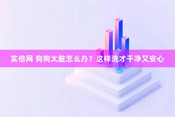 实倍网 狗狗太脏怎么办？这样洗才干净又安心